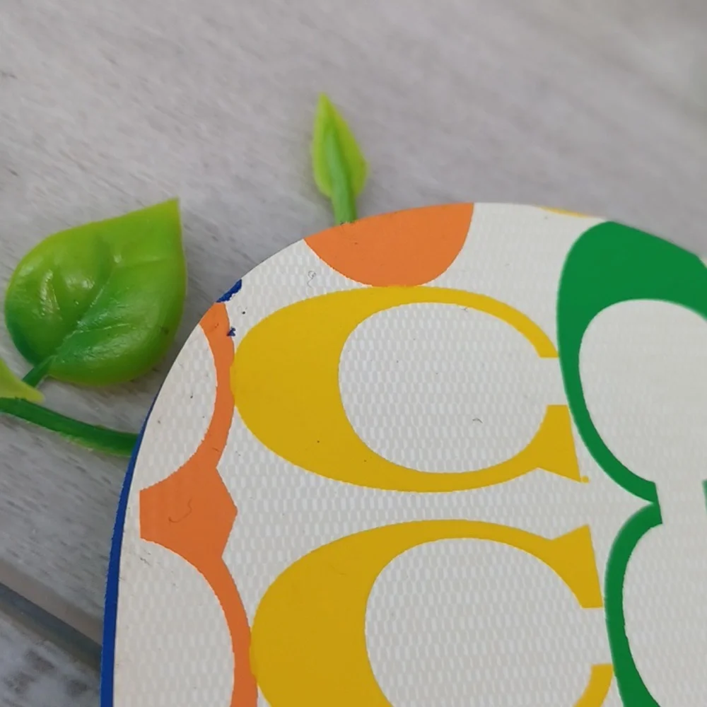 Coach Signature Rainbow Pride Flip Flops NWOT - Picture 7 of 8